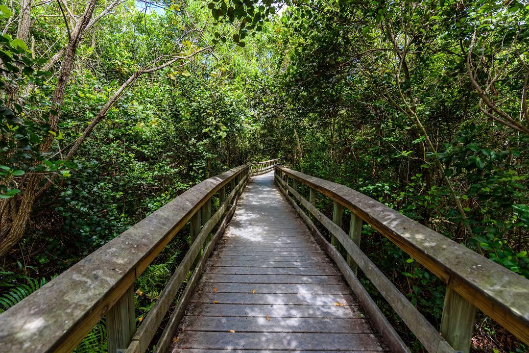 Gumbo Limbo Nature Center