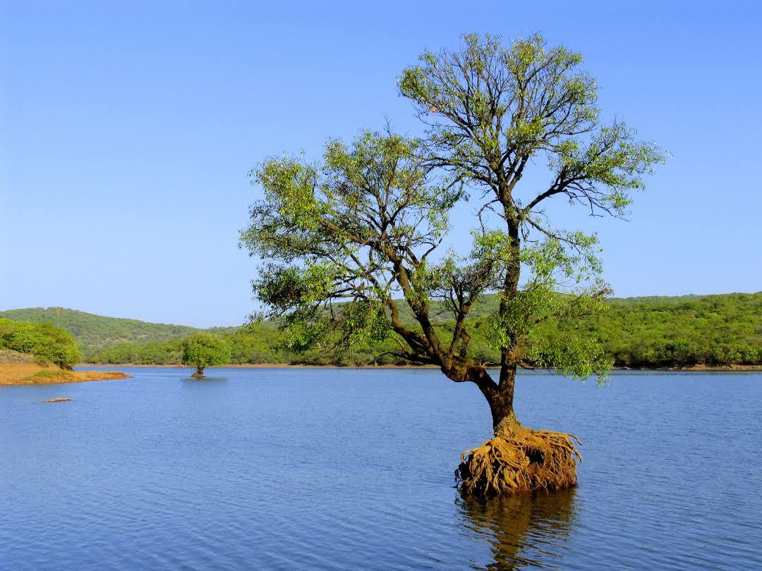 Venna Lake