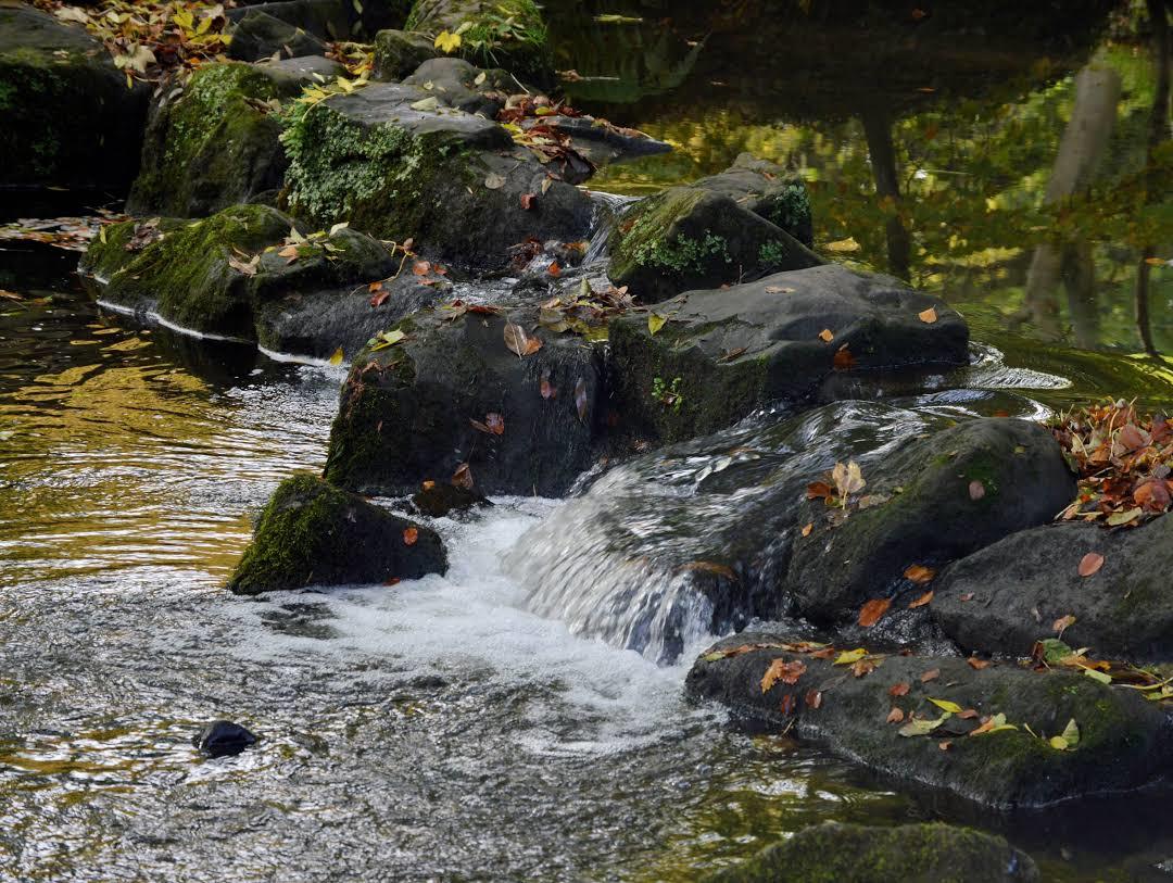 Endcliffe Park