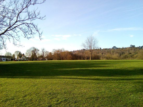 Cofton Park