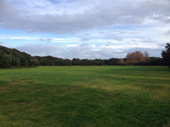 Waiatarua Reserve