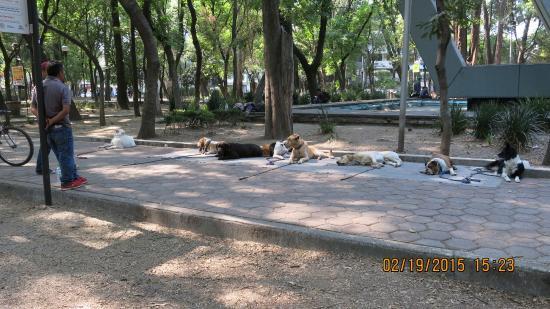 Parque Espana