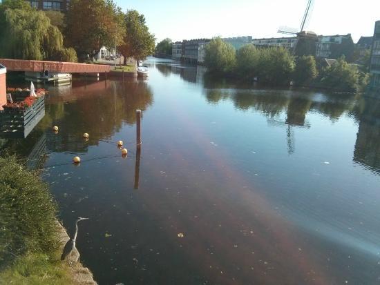De Otter