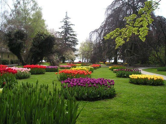 Botanical Gardens