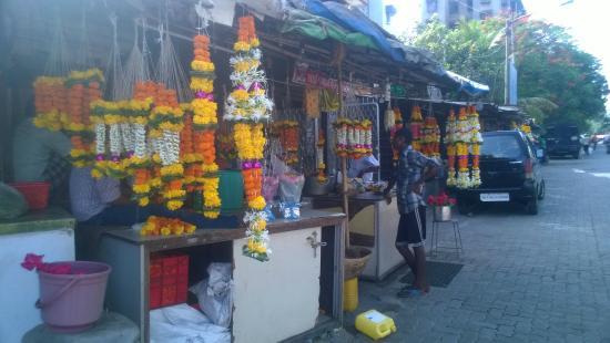 Mangal Sai Dham