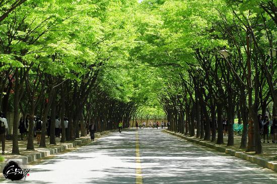 Incheon Grand Park