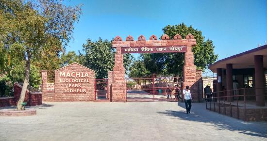Machia Biological Park
