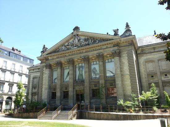 Natural History Museum
