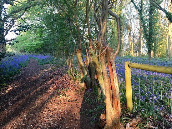 Shotover Country Park