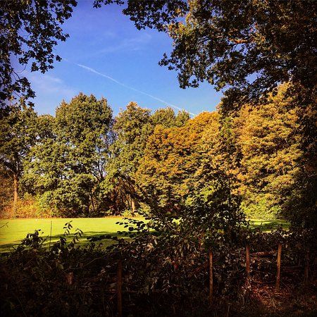Nachtegalen Park