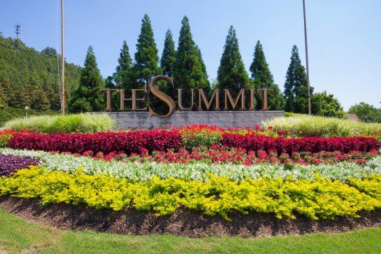 The Summit