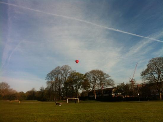Arno's Park