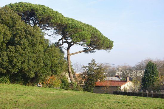 Oblate Park