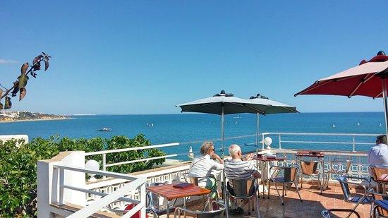 Iguana Cafe