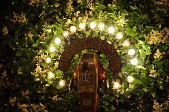 The Chandelier Tree