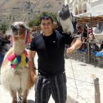 Entre Sal y Copas