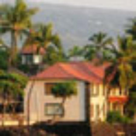 Banana Leaf