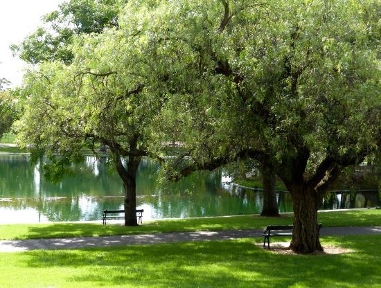 Rymill Park
