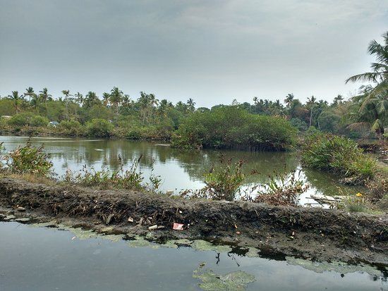 Mulavukad Island