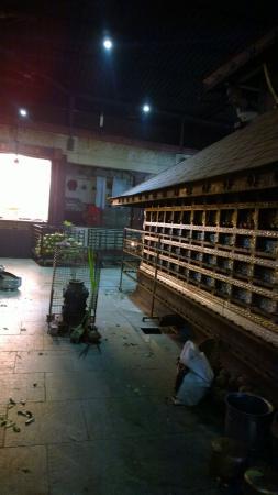 Kailasagiri Temple