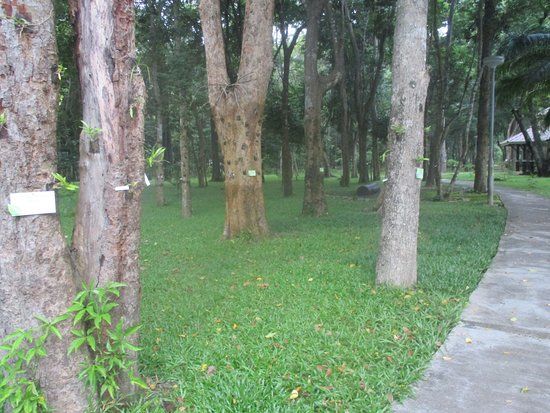 Huai Kaeo Arboretum