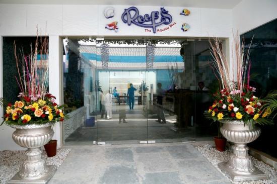 Reefs Restro Lounge