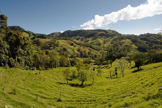 Finca El Paraiso
