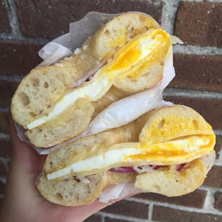 Bagelsaurus