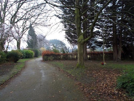 Alexandra Park