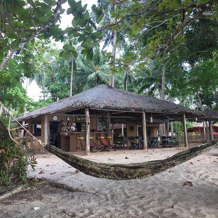 Whale Bar