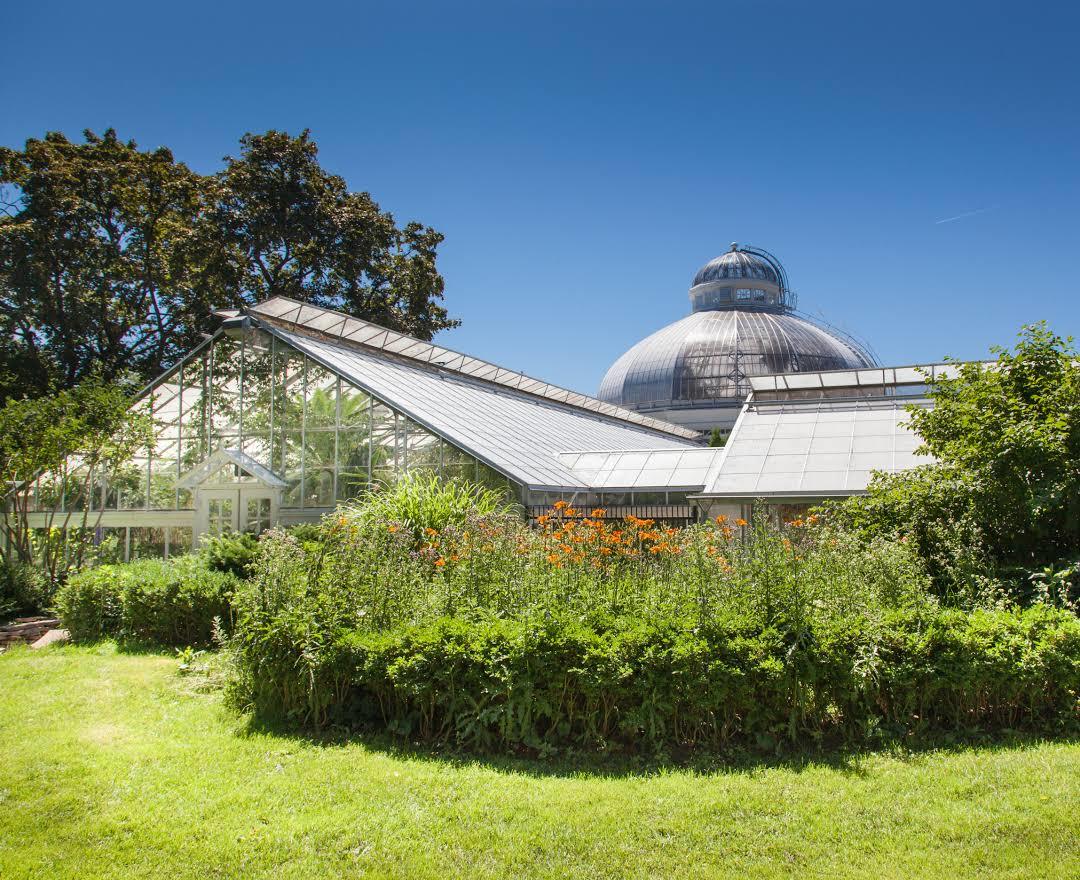 Allan Gardens