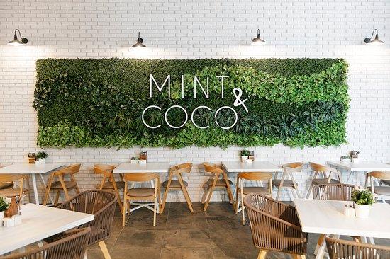 Mint & Coco