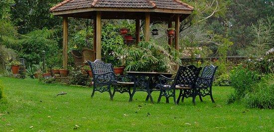 Nia's Garden