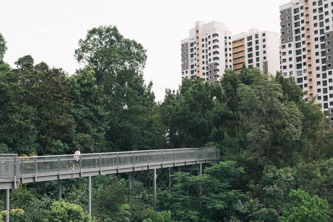 Southern Ridges