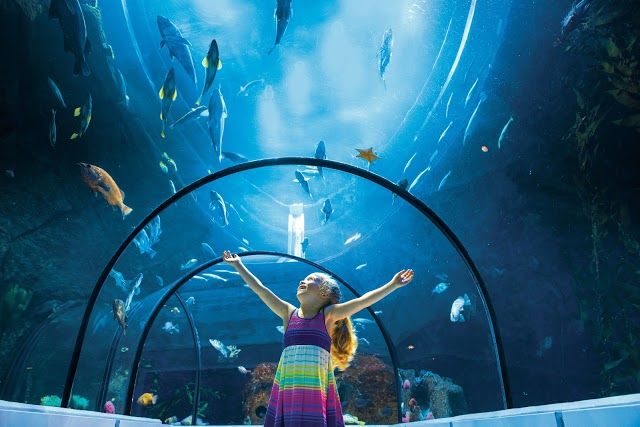 Aquarium of Quebec