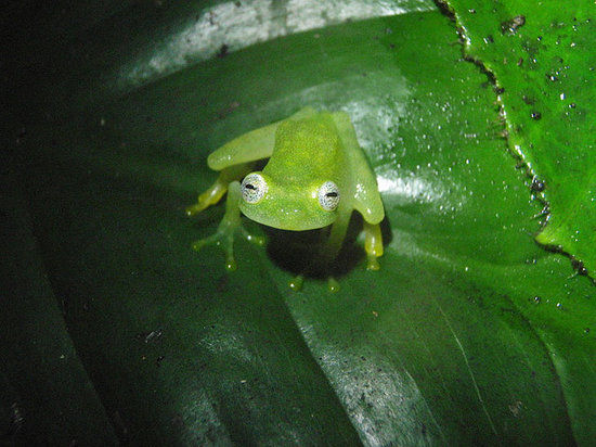 Monteverde Theme Park