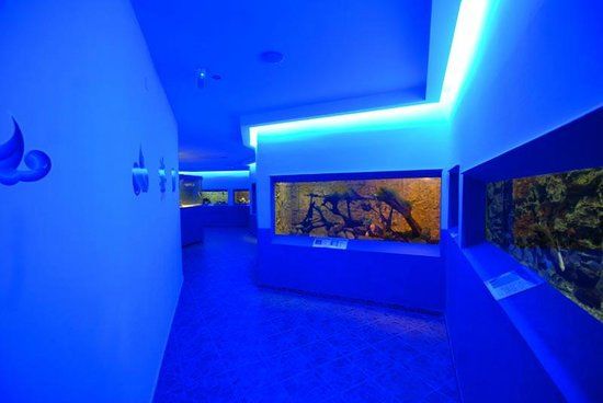 Ocean Aquarium