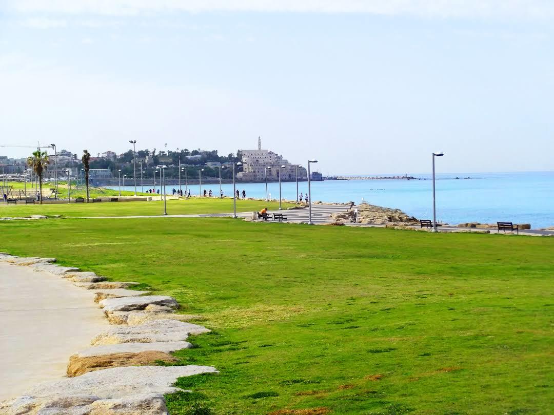 Charles Clore Park