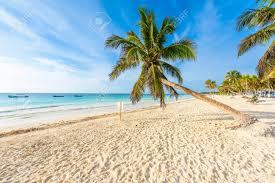 Paradise Beach