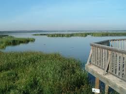 Big Lake