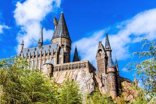 The Wizarding World of Harry Potter