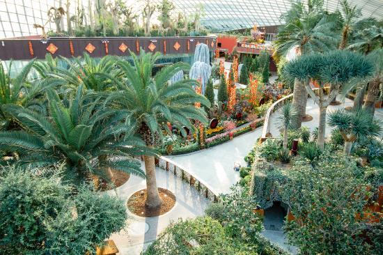 Flower Dome