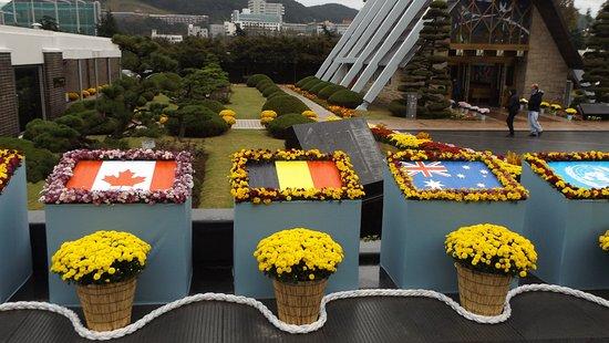 UN Memorial Cemetery