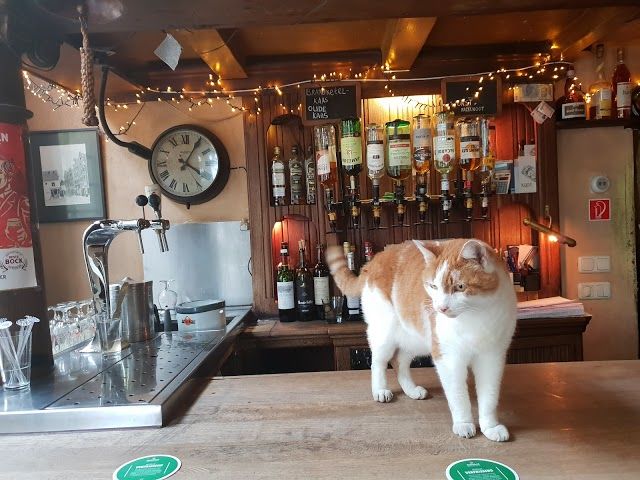 Cafe de Wetering