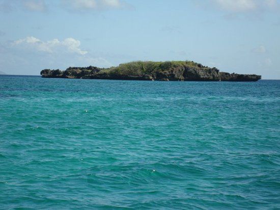 Crocodile Island