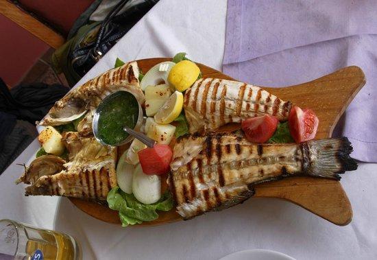 Odessa Restaurant