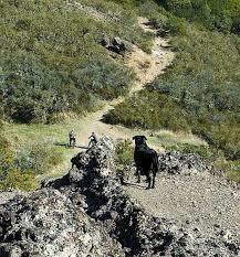 Oat Hill Mine Trail