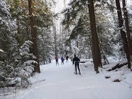 Vasa Trail