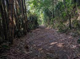 Pedra Bonita Trail