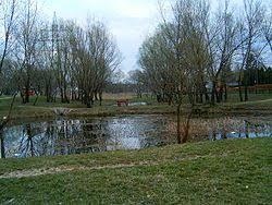Lake Gotes